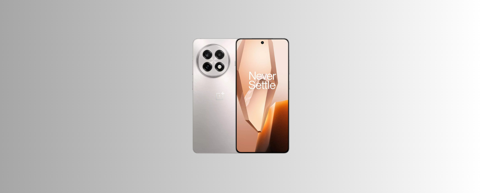 OnePlus