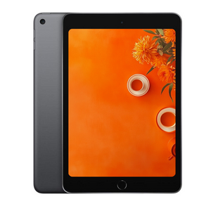 Apple iPad mini 7.9-inch (5th Generation) Wi-Fi + Cellular 64GB Space Grey - Excellent Pre-owned